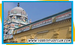 chola nadu divyadesam tourism customized tirtha yatra